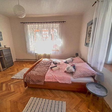 Apartman Isabel Decin Buitenkant foto